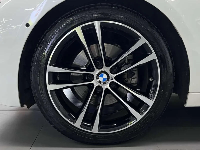 BMW 3 Series GT — фото 17