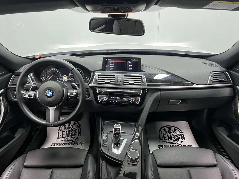 BMW 3 Series GT — фото 24