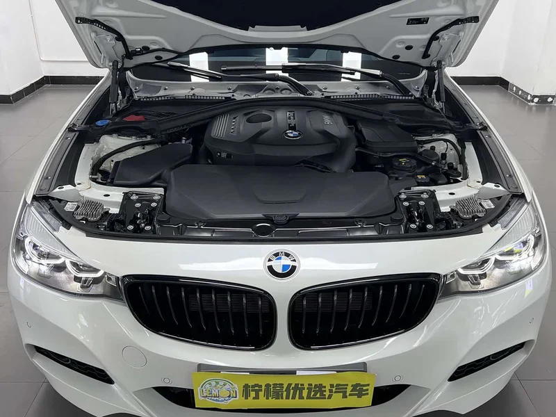 BMW 3 Series GT — фото 9