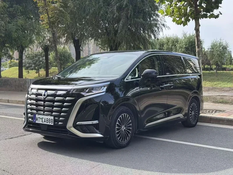 Denza D9