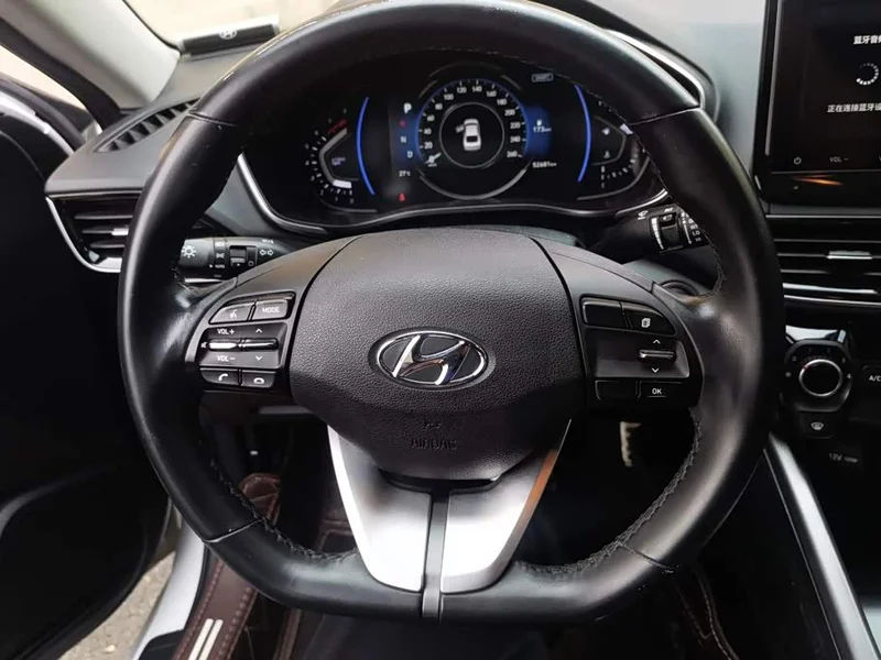 Hyundai Fista — фото 15