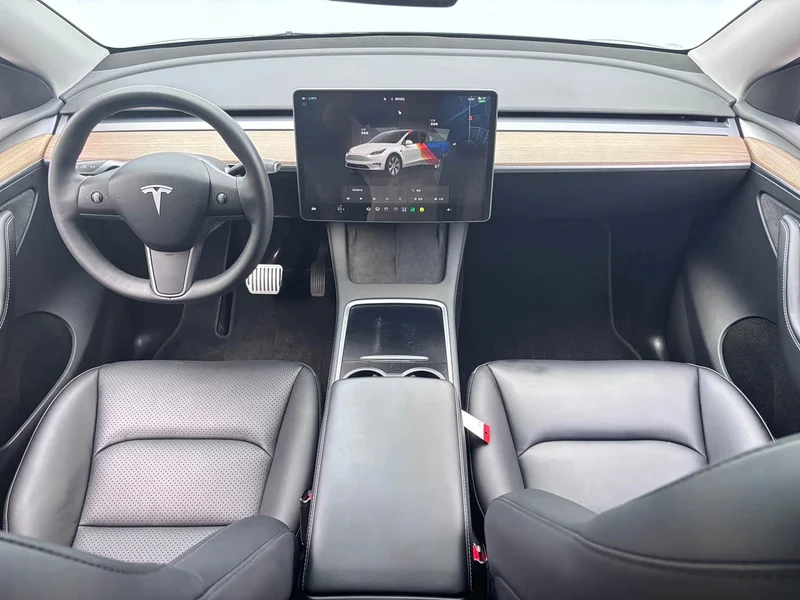 Tesla Model Y — фото 12