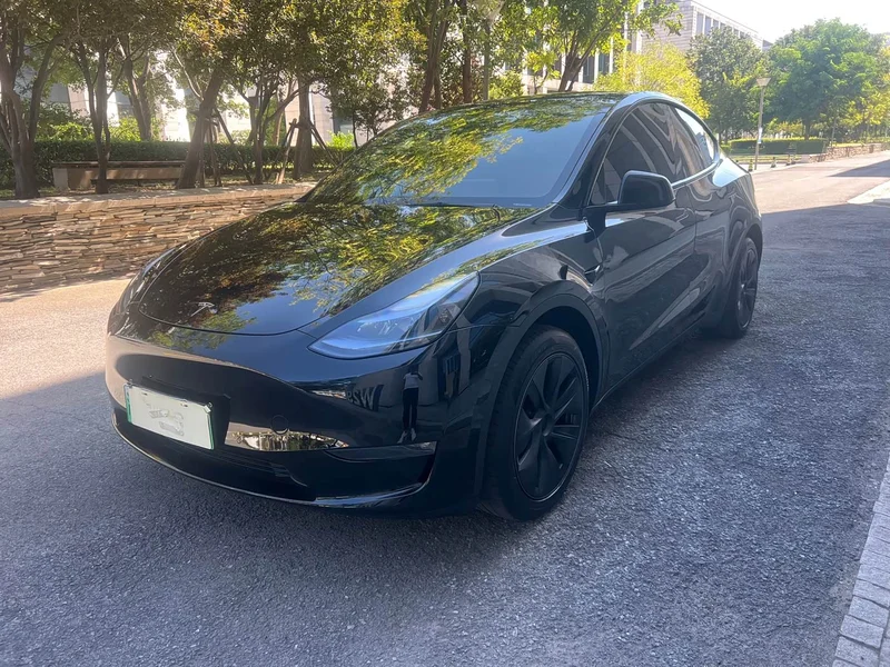 Tesla Model Y — фото 1
