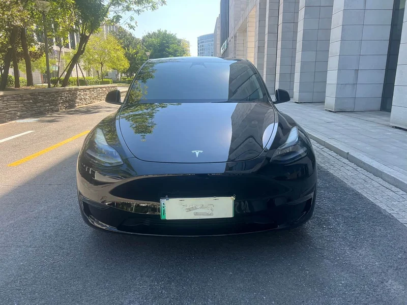 Tesla Model Y — фото 2
