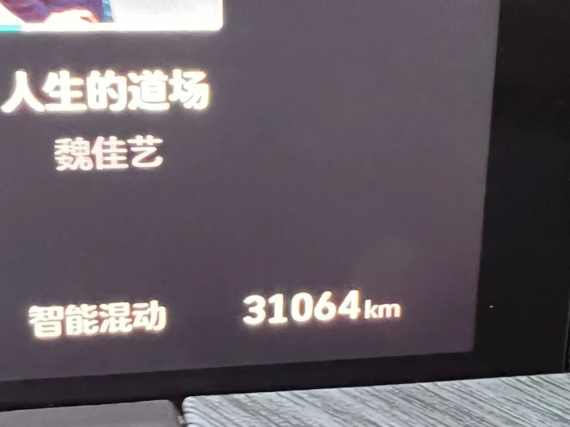 Tank 500 New Energy — фото 13
