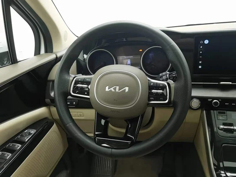 Kia Carnival — фото 13