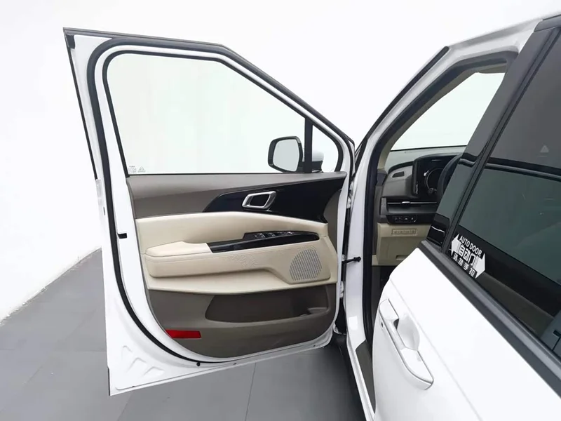 Kia Carnival — фото 15