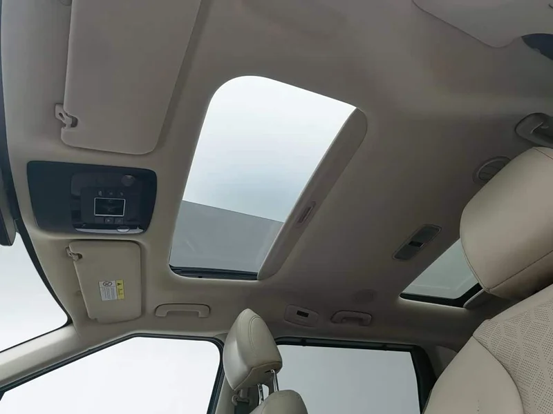 Kia Carnival — фото 20