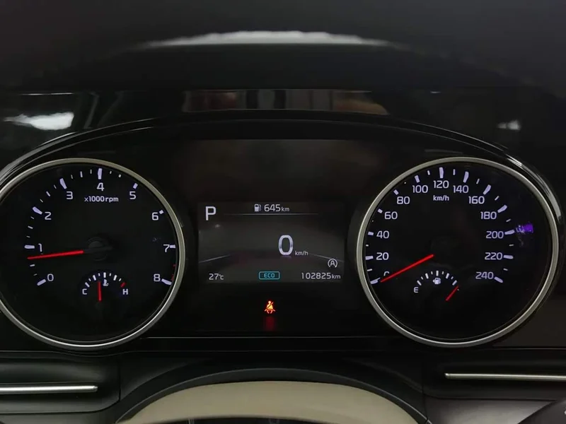 Kia Carnival — фото 10