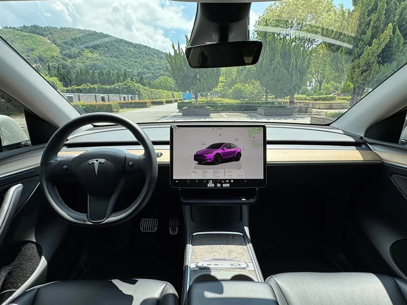 Tesla Model Y — фото 13