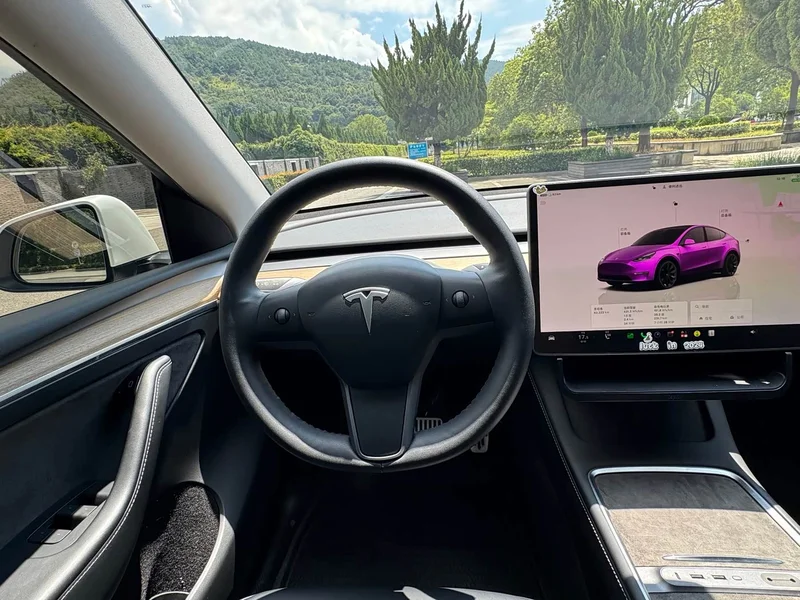 Tesla Model Y — фото 14