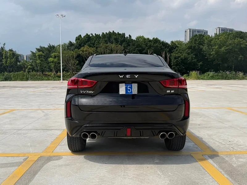 Wey VV7 GT — фото 9