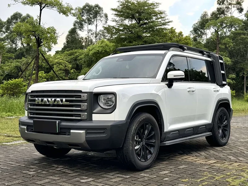 Haval Menglong New Energy — фото 1