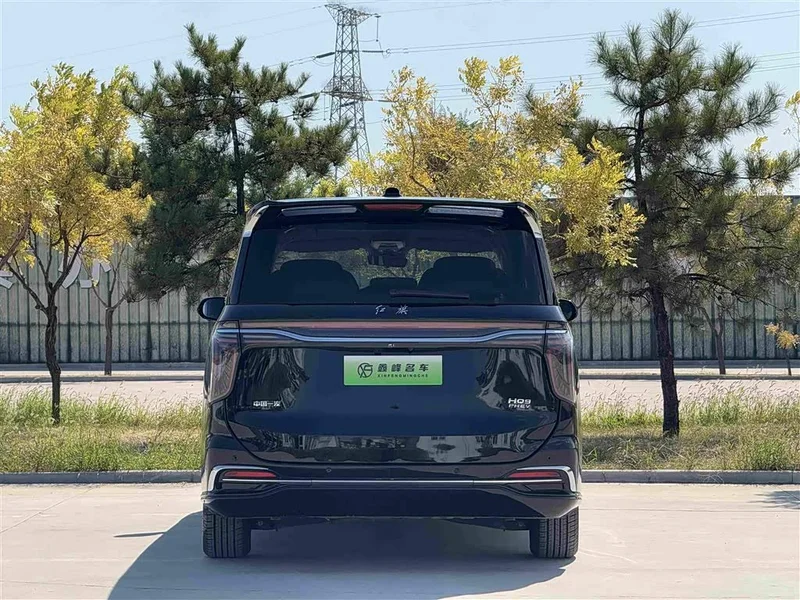 Hongqi HQ9 PHEV — фото 34