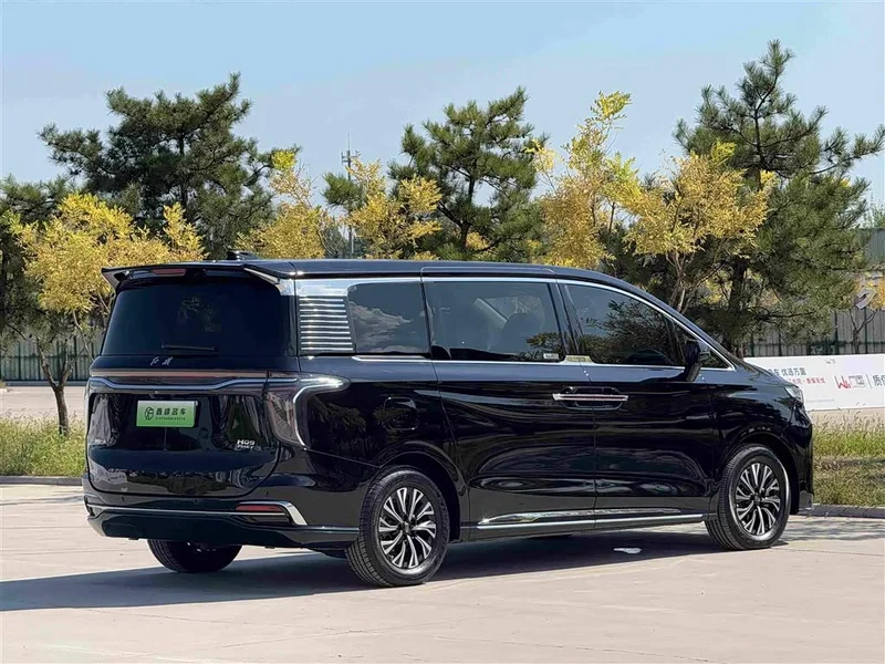 Hongqi HQ9 PHEV — фото 35