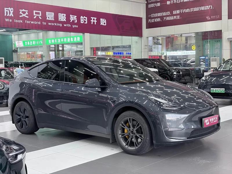 Tesla Model Y — фото 2