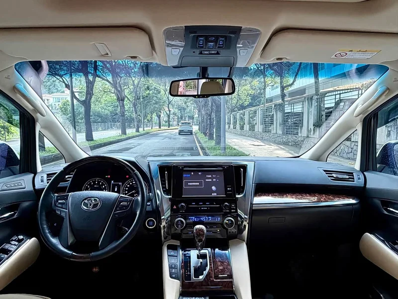 Toyota Alphard — фото 6