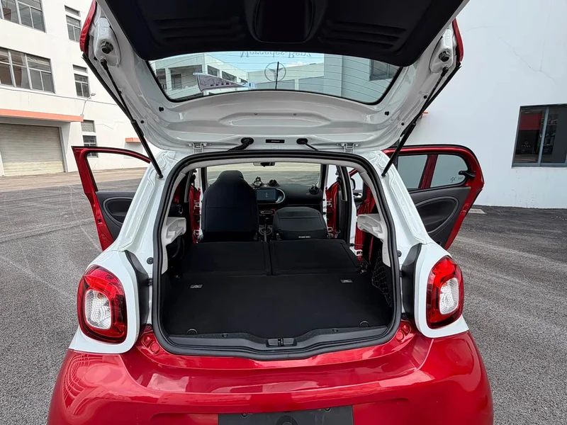 Smart Forfour — фото 25