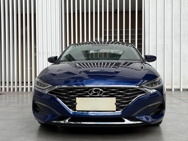 Hyundai Fista — фото 2