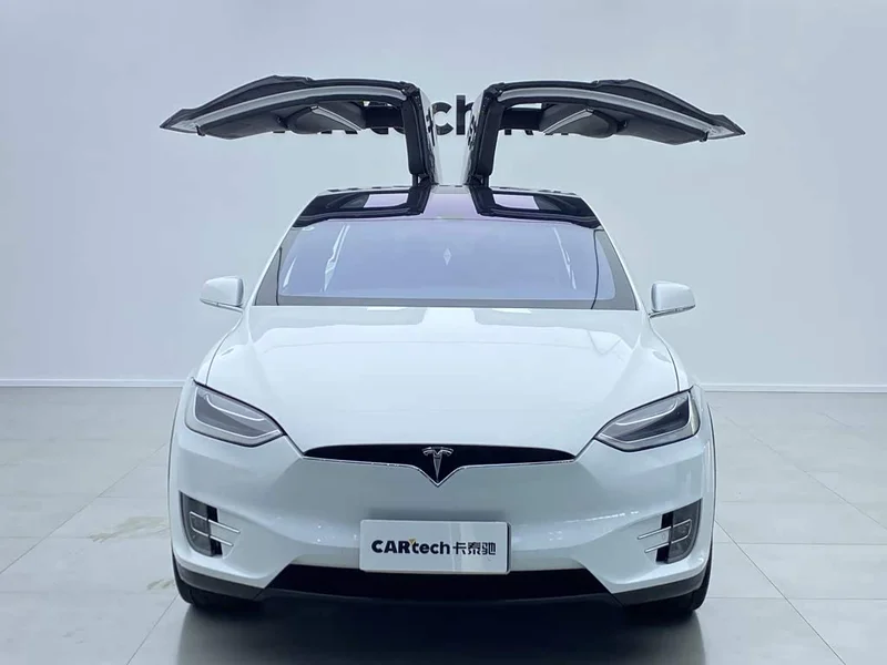 Tesla Model X — фото 10