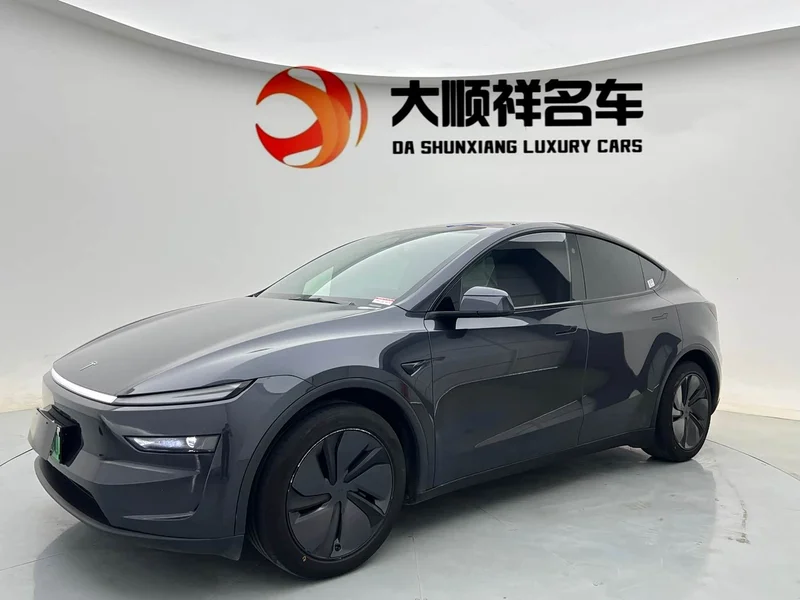 Tesla Model Y — фото 1