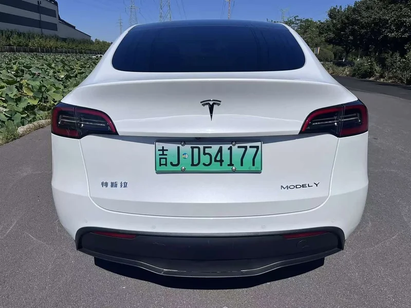 Tesla Model Y — фото 6