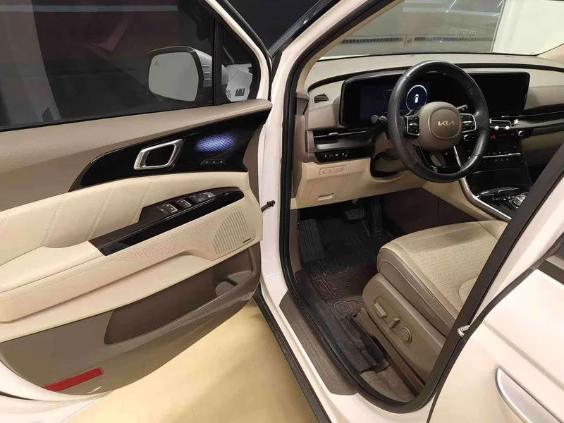 Kia Carnival — фото 4