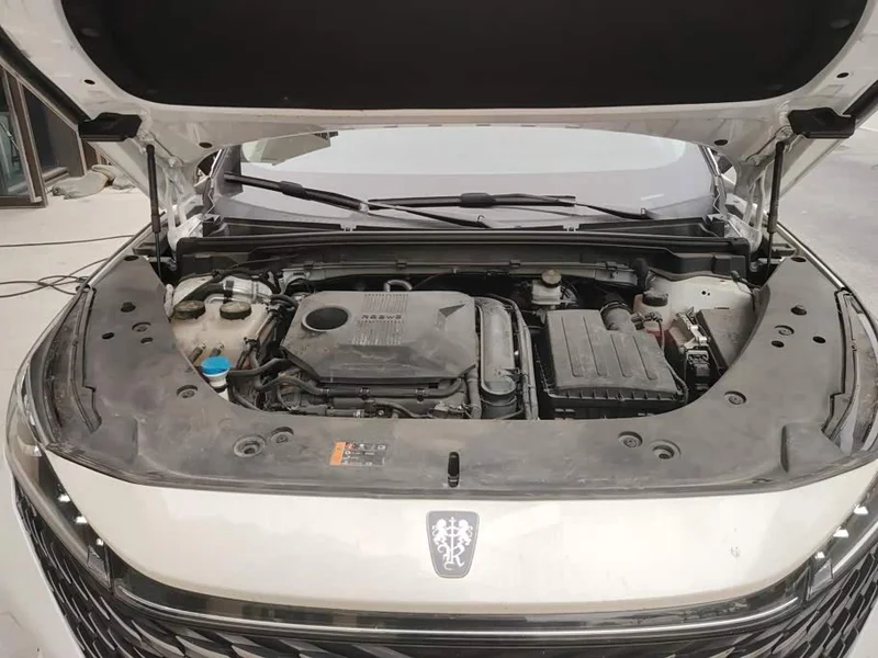 Roewe RX5 New Energy — фото 10