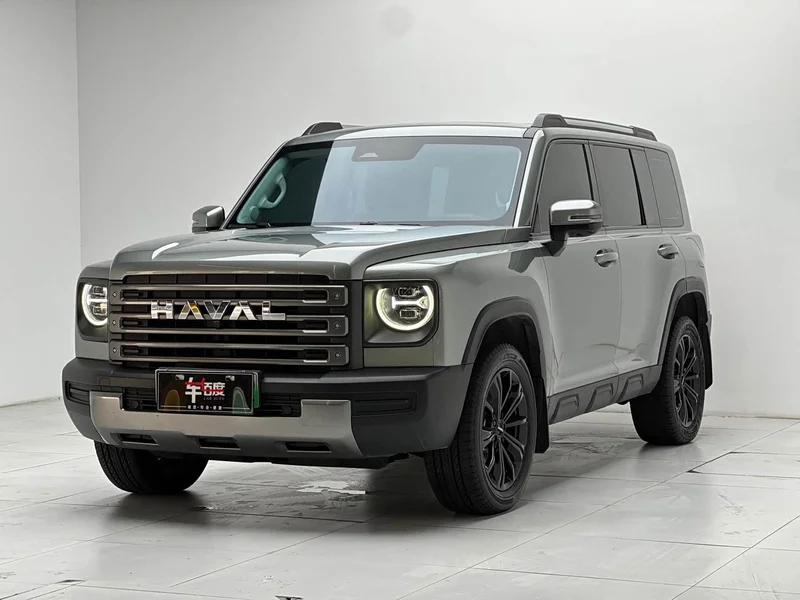 Haval Menglong New Energy — фото 1