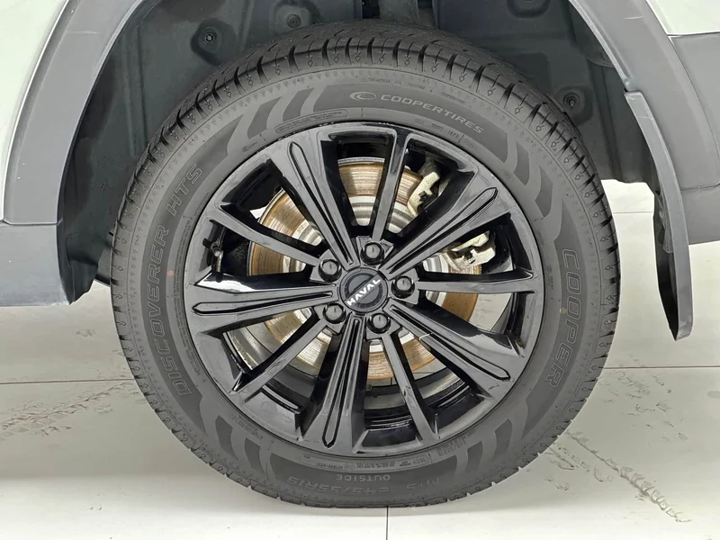 Haval Menglong New Energy — фото 19