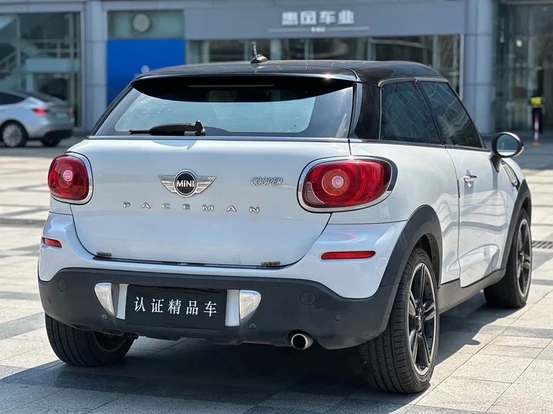 MINI PACEMAN — фото 5