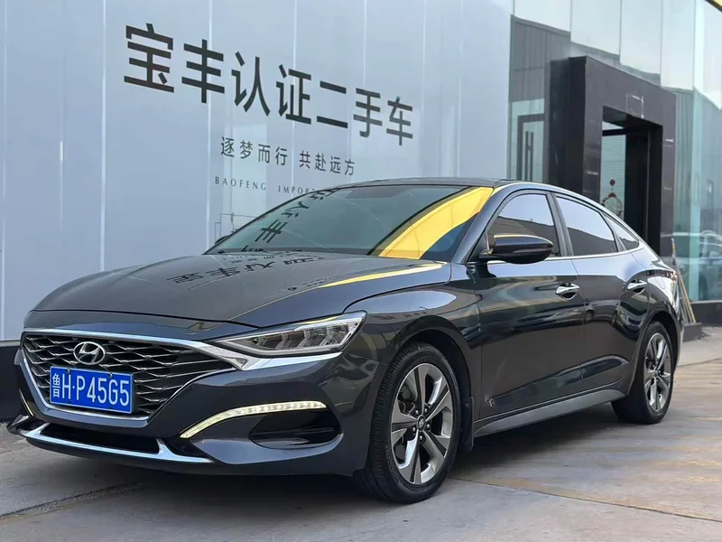 Hyundai Fista — фото 1