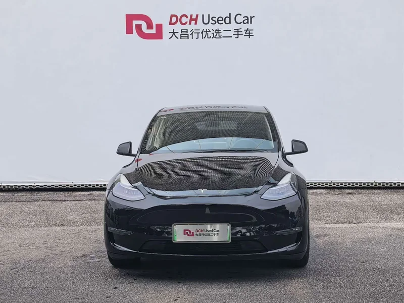 Tesla Model Y — фото 2