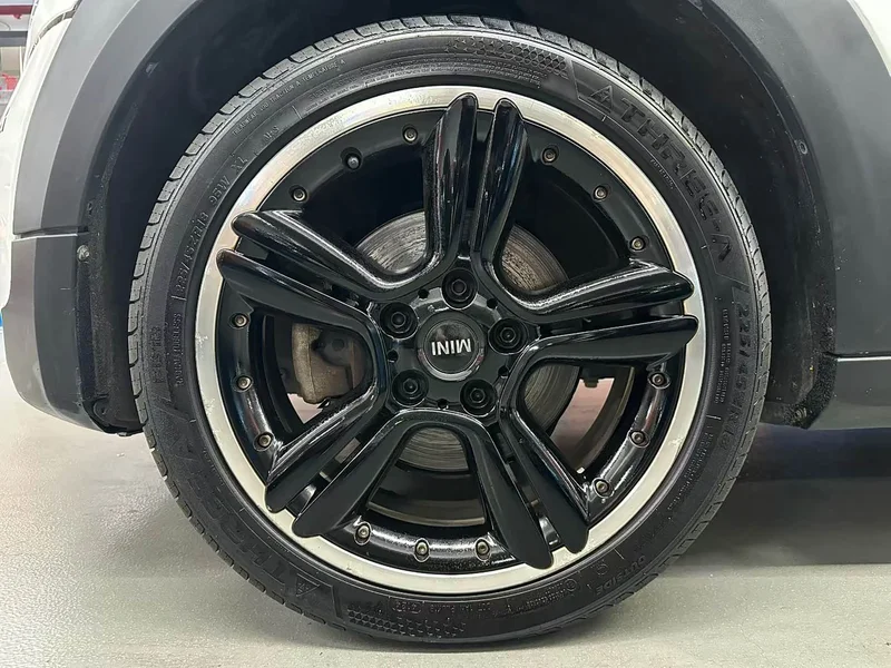 MINI PACEMAN — фото 12