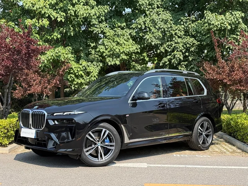 BMW X7 — фото 1