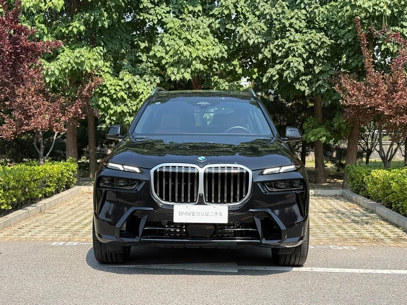 BMW X7 — фото 5