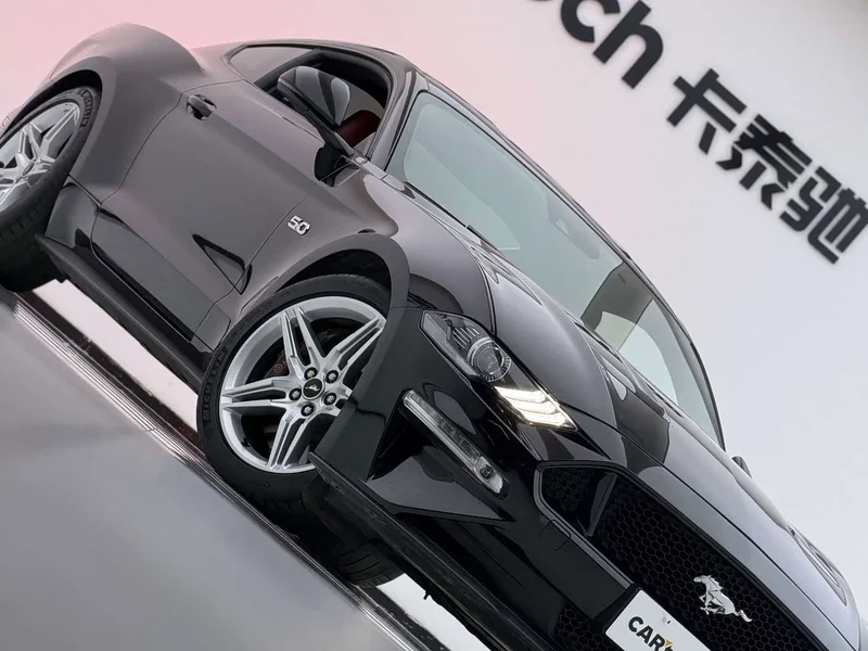 Ford Mustang — фото 14