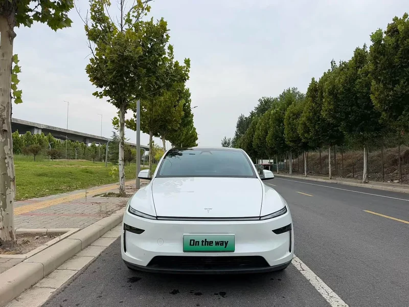 Tesla Model Y — фото 2