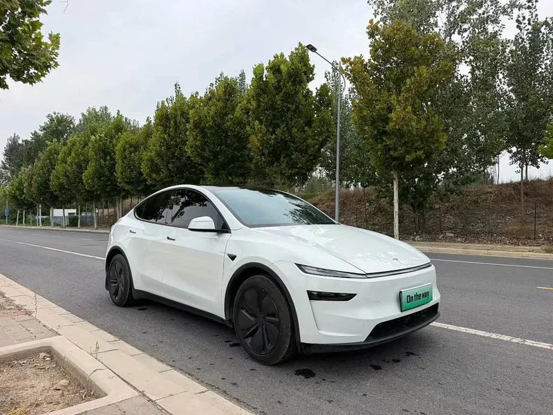 Tesla Model Y — фото 3