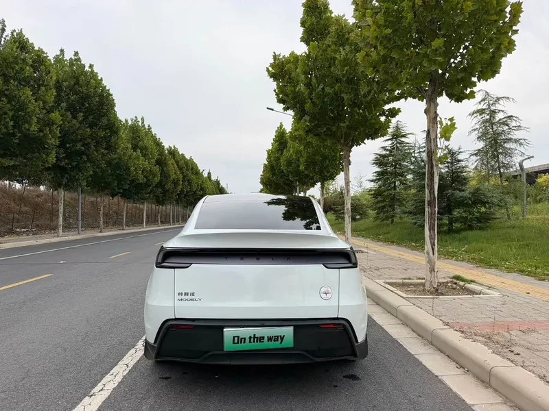 Tesla Model Y — фото 8