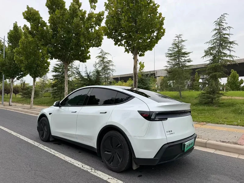 Tesla Model Y — фото 9