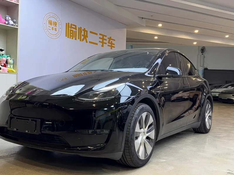 Tesla Model Y — фото 1