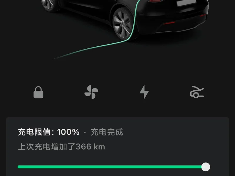 Tesla Model Y — фото 16