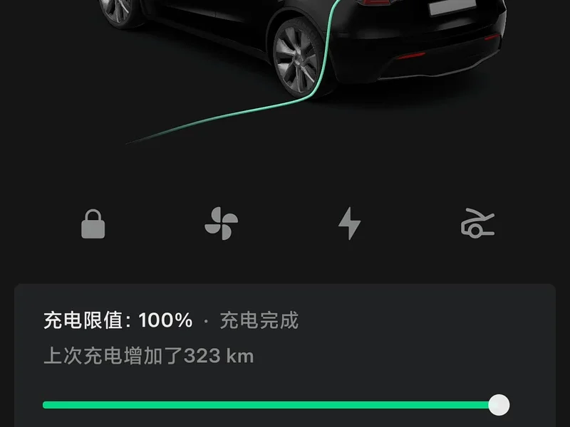 Tesla Model Y — фото 18