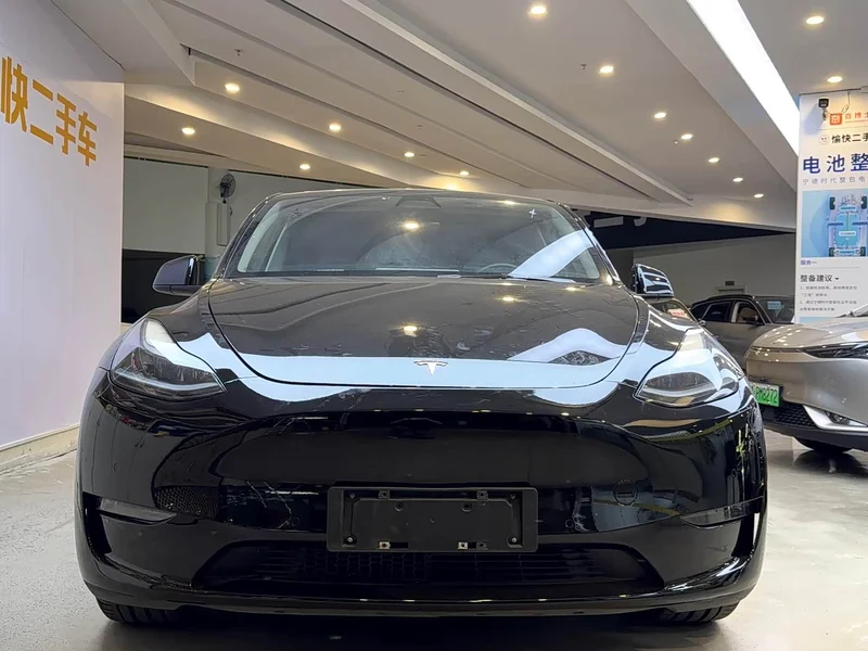 Tesla Model Y — фото 2