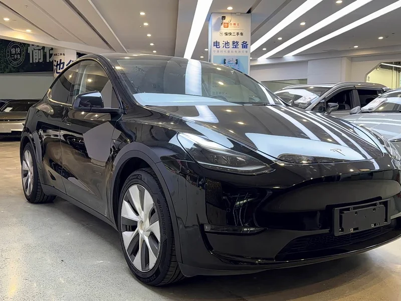 Tesla Model Y — фото 3