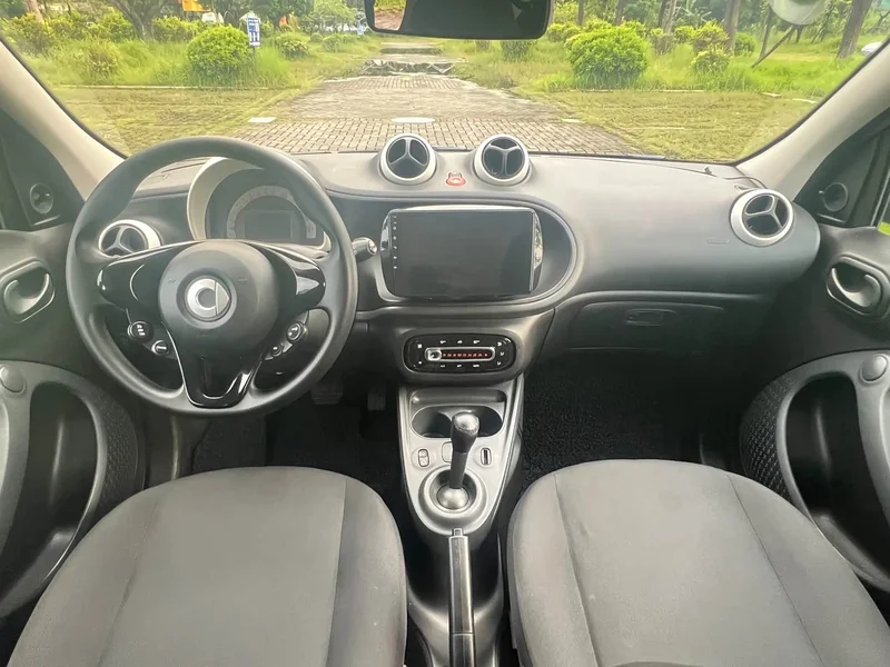 Smart Forfour — фото 15