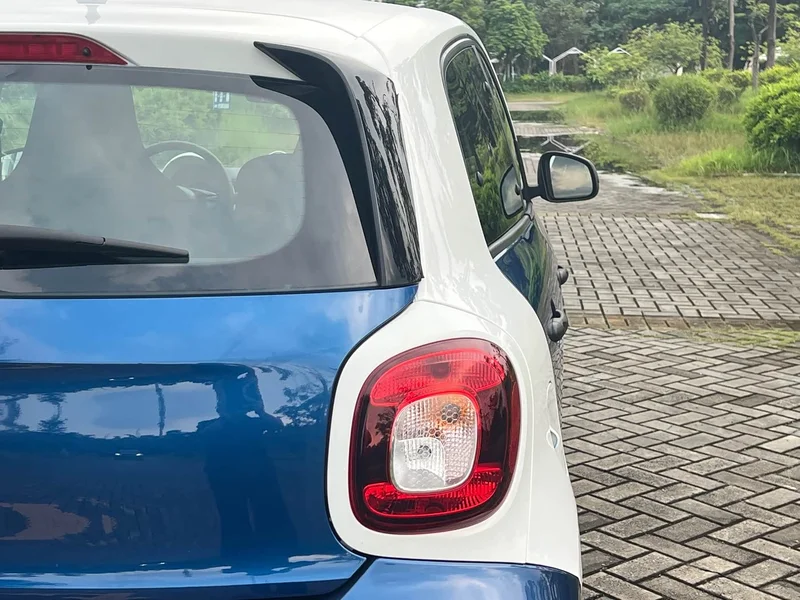 Smart Forfour — фото 18