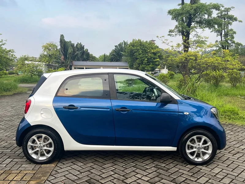 Smart Forfour — фото 4
