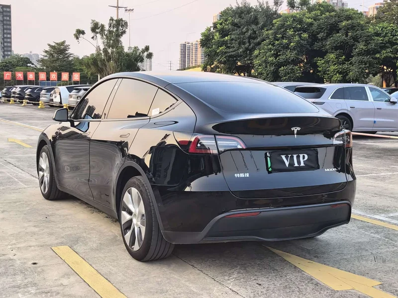 Tesla Model Y — фото 20